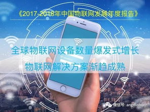 2018中國物聯(lián)網(wǎng)（IoT）報告 網(wǎng)絡信息技術(shù)開發(fā)進展與趨勢